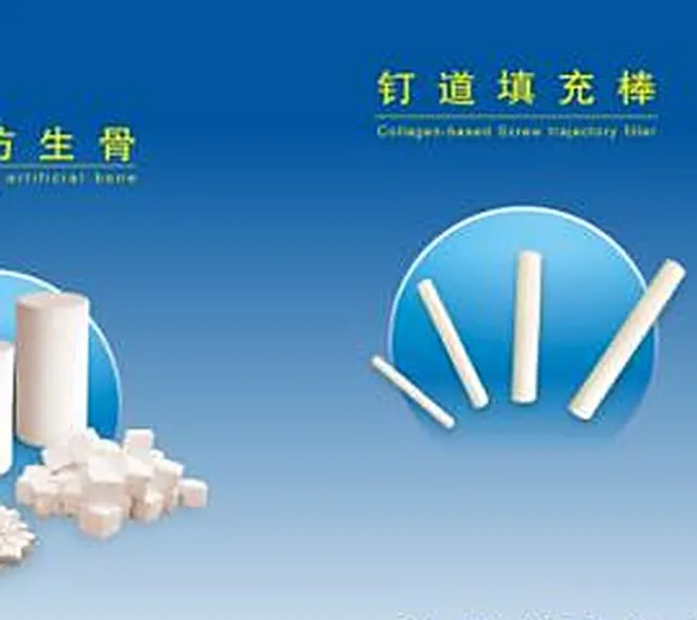 Thanh xương nhân tạo BONGOLD Co-11 lấp đường vít xương