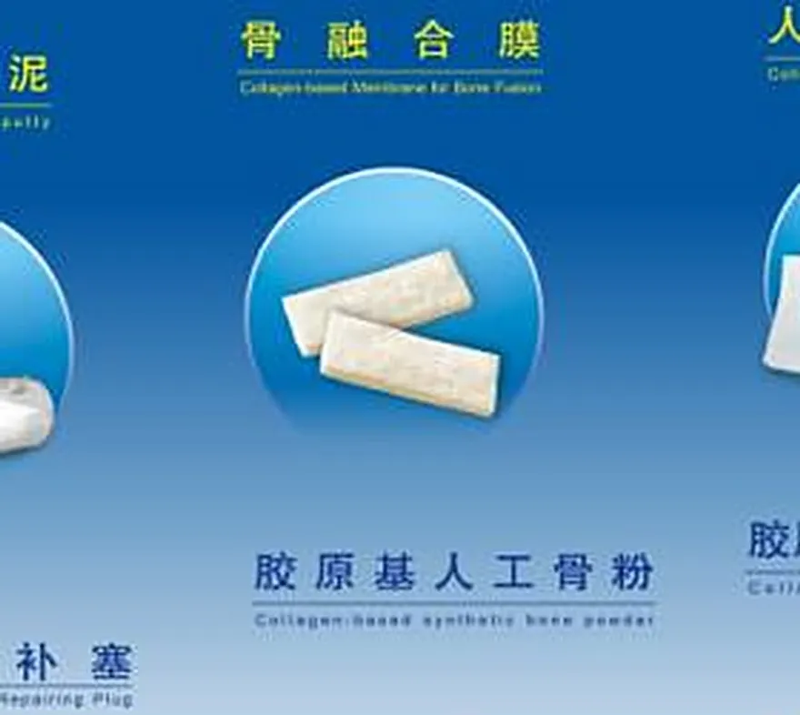 Miếng hàn xương nhân tạo BONGOLD Re-9 cho phẫu thuật cột sống
